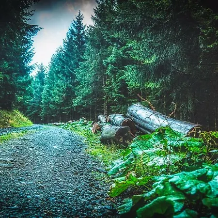 Appartement Queens Castle *