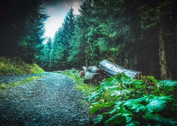 Апартаменты Queens Castle *